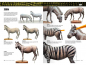 Preview: AK Learning Guide 14 - Painting Animal Figures (EN)