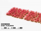 Preview: Gamers Grass Pink Flowers