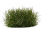 Preview: Gamers Grass Strong Green XL Tuft Wild