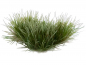 Preview: Gamers Grass Tuft Strong Green Small