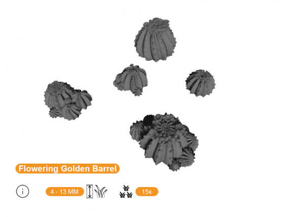 Flowering Golden Barrels Cacti Basing Bits