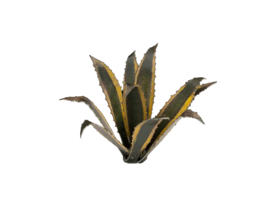 GamersGrass Agave