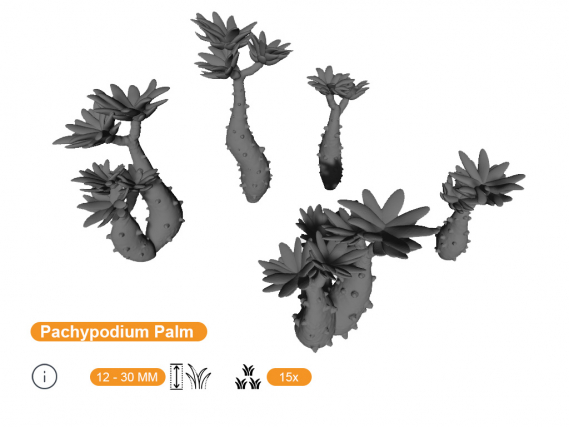 Pachypodium Palms Basing Bits
