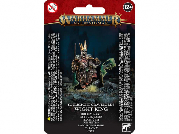 Age of Sigmar - Wight King with Baleful Tomb Blade