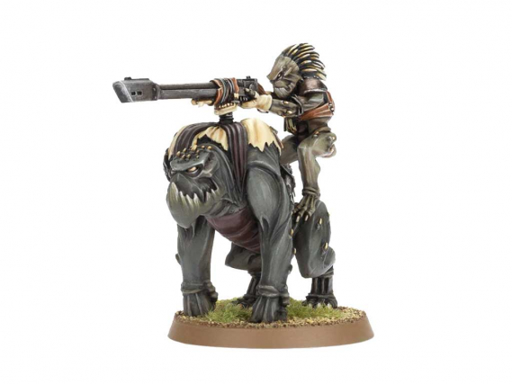 Warhammer 40,000 - T'au Empire: Krootox Rider