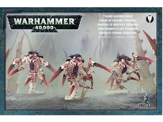 Warhammer 40,000 - Tyranids: Tyraniden Venatorenrotte