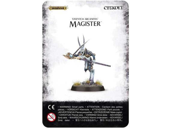 Age of Sigmar - Magister