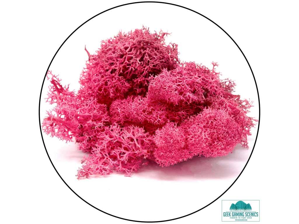 Geek Gaming Scenics Lichen - Reindeer Moss Fuschia