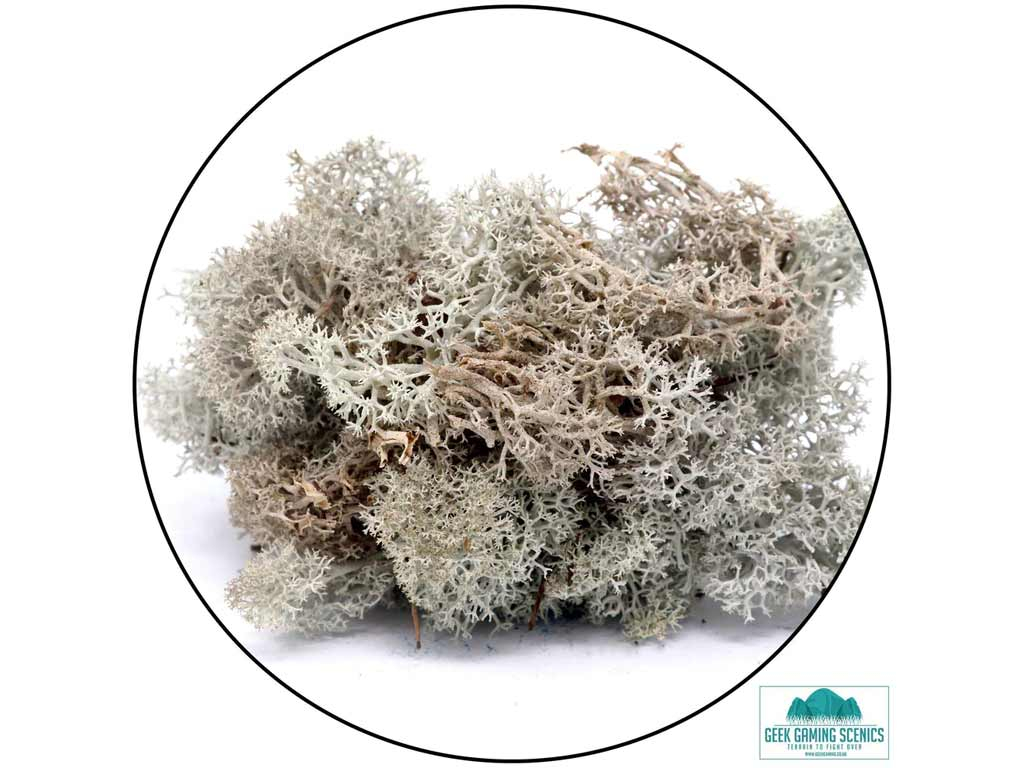 Geek Gaming Scenics Lichen - Reindeer Moss Natural