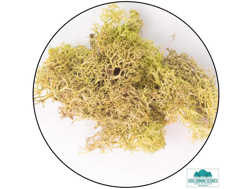 Geek Gaming Scenics Lichen - Reindeer Moss Old Green