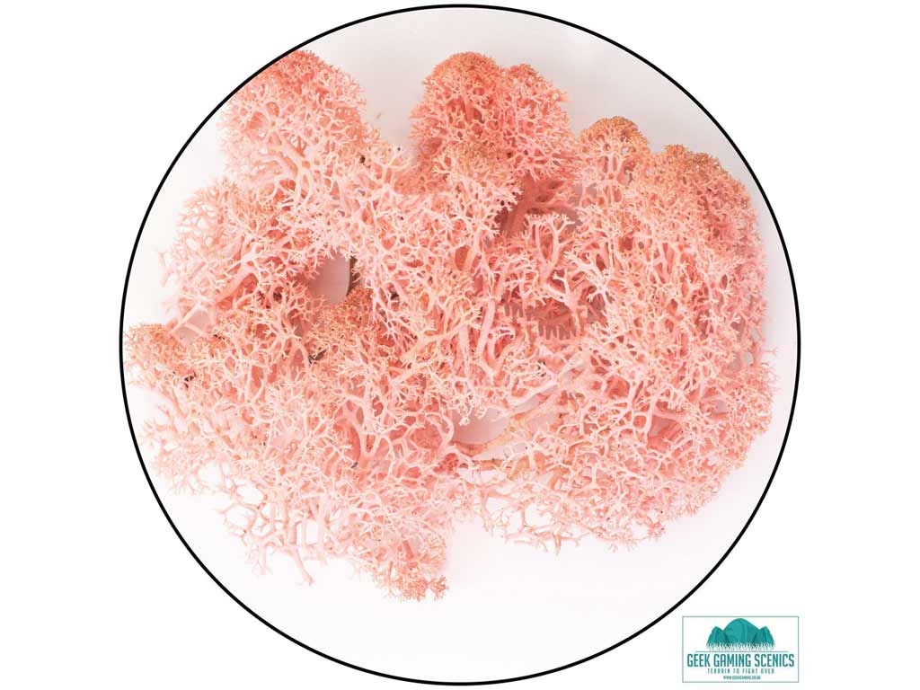 Geek Gaming Scenics Lichen - Reindeer Moss Rose